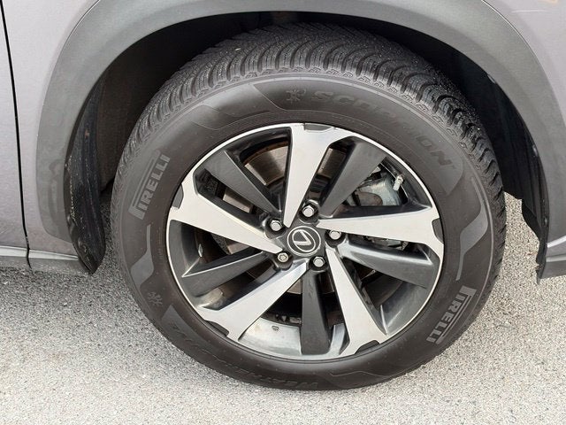 2019 Lexus NX 300 Base Premium AWD